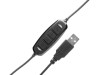 AxTeL USB-C4 DSP - QD/USB